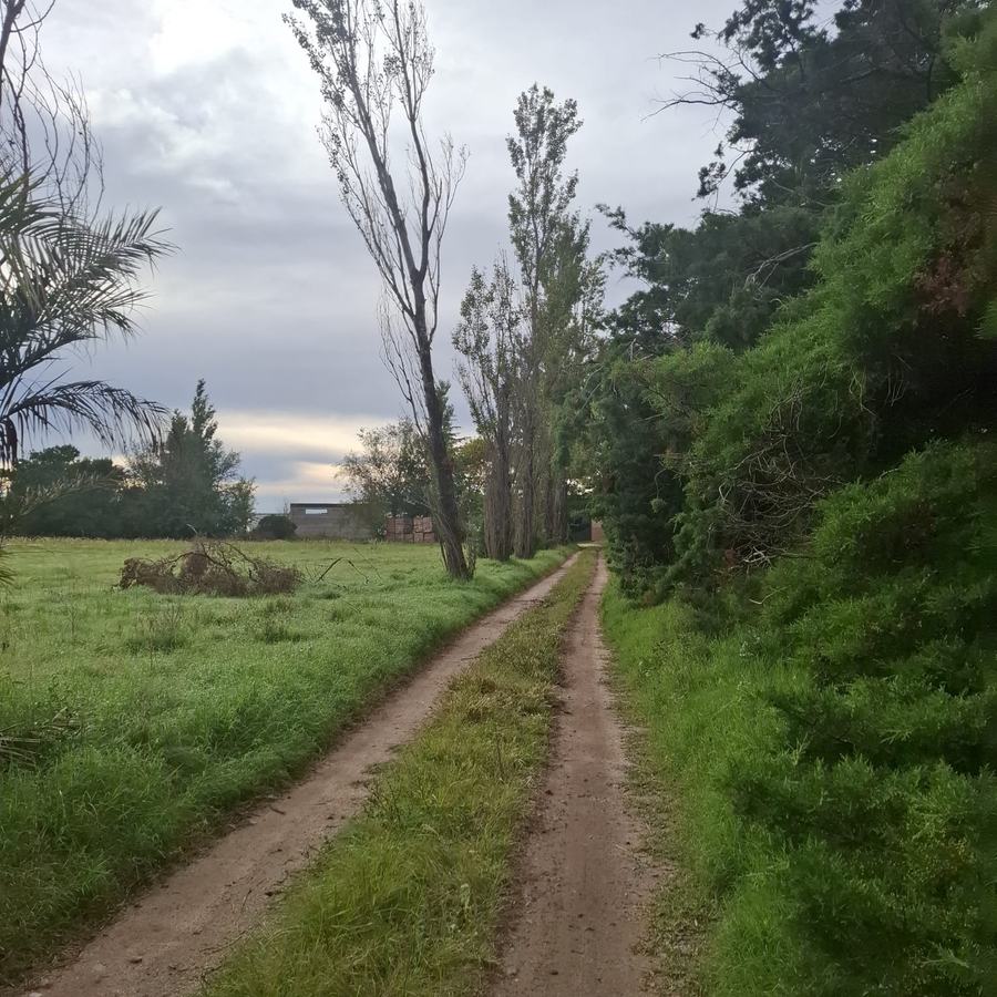 Entorno rural donde crecerá KM133