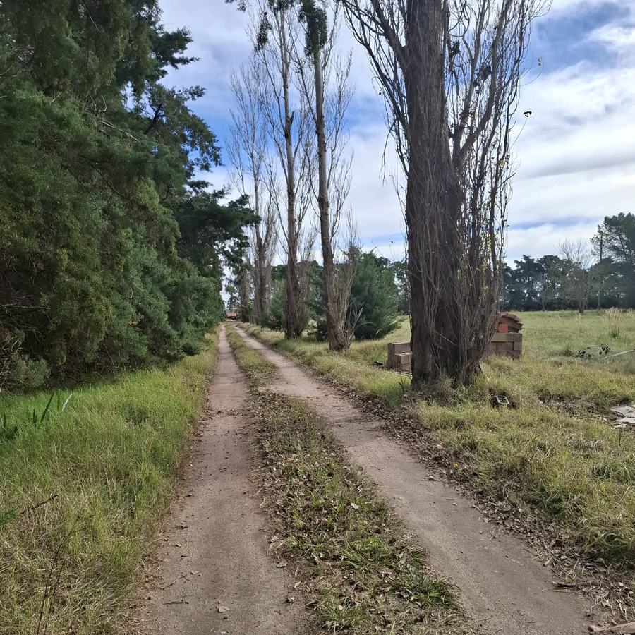 Camino de acceso a KM133